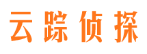 新县市调查公司